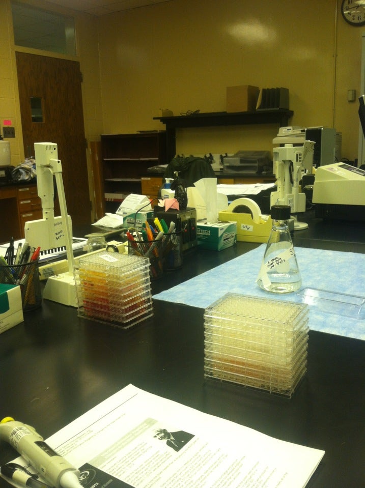 Rollins Diagnostic Laboratory, Blue Ridge Rd, Raleigh, NC MapQuest