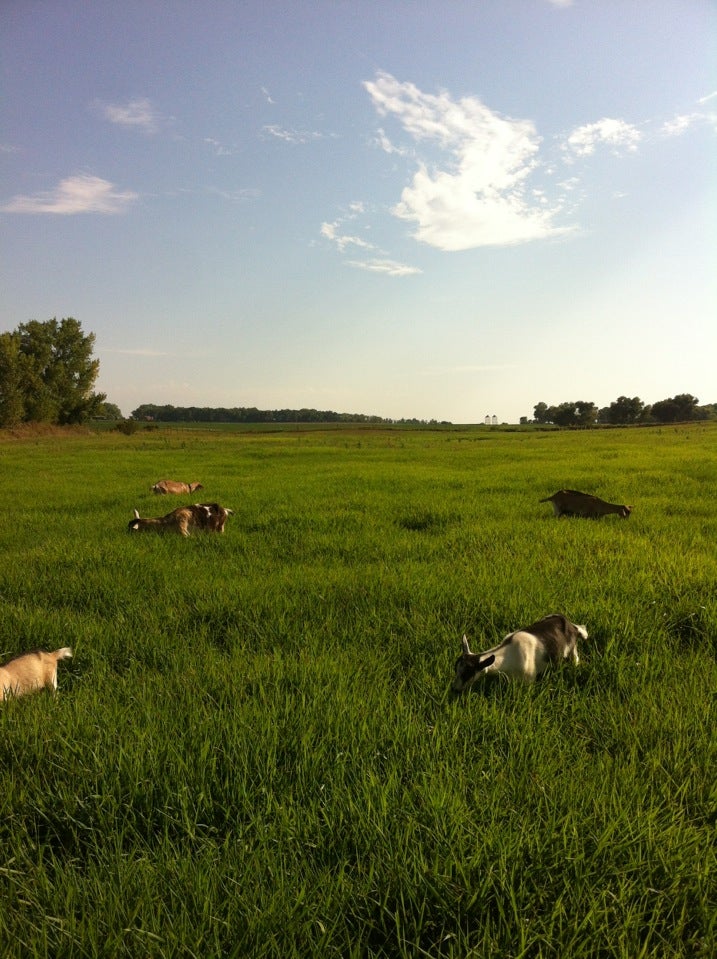 Lake Campbell Beach, 220th St, Brookings, SD MapQuest