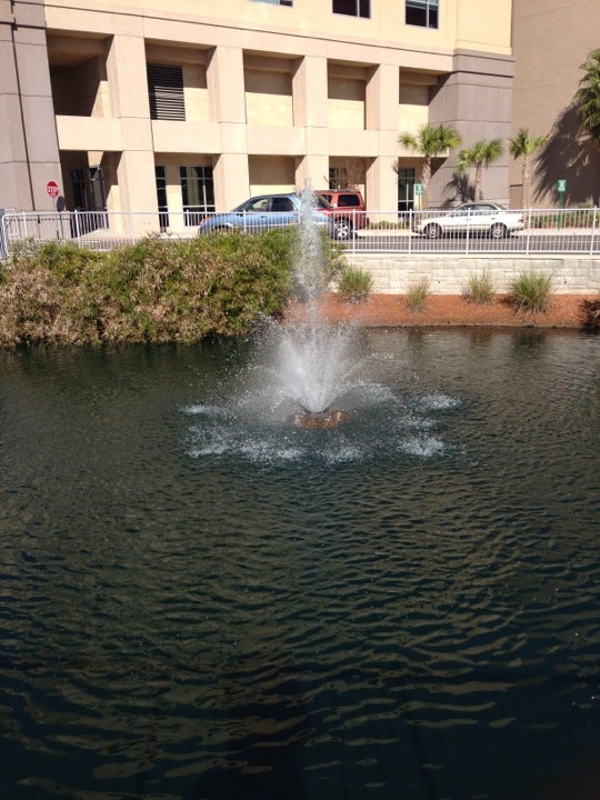 Memorial HospitalJacksonville, 3625 University Blvd S, Jacksonville