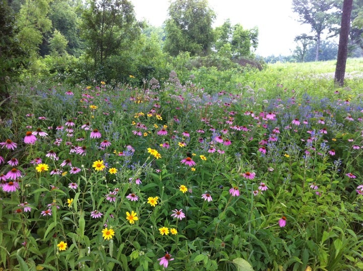 Robertsville, MO Map & Directions MapQuest