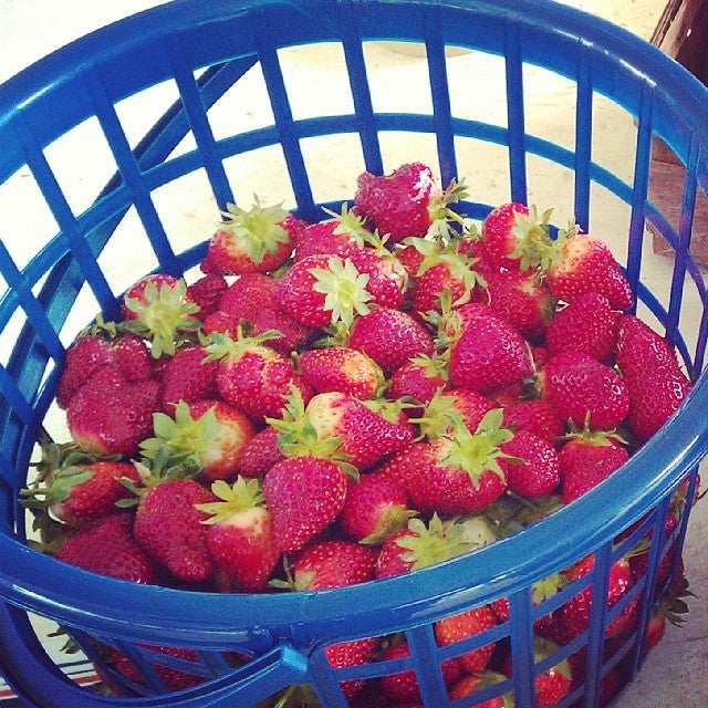 Vaughan Farms' Produce, 1258 Princess Anne Rd, Virginia Beach, VA