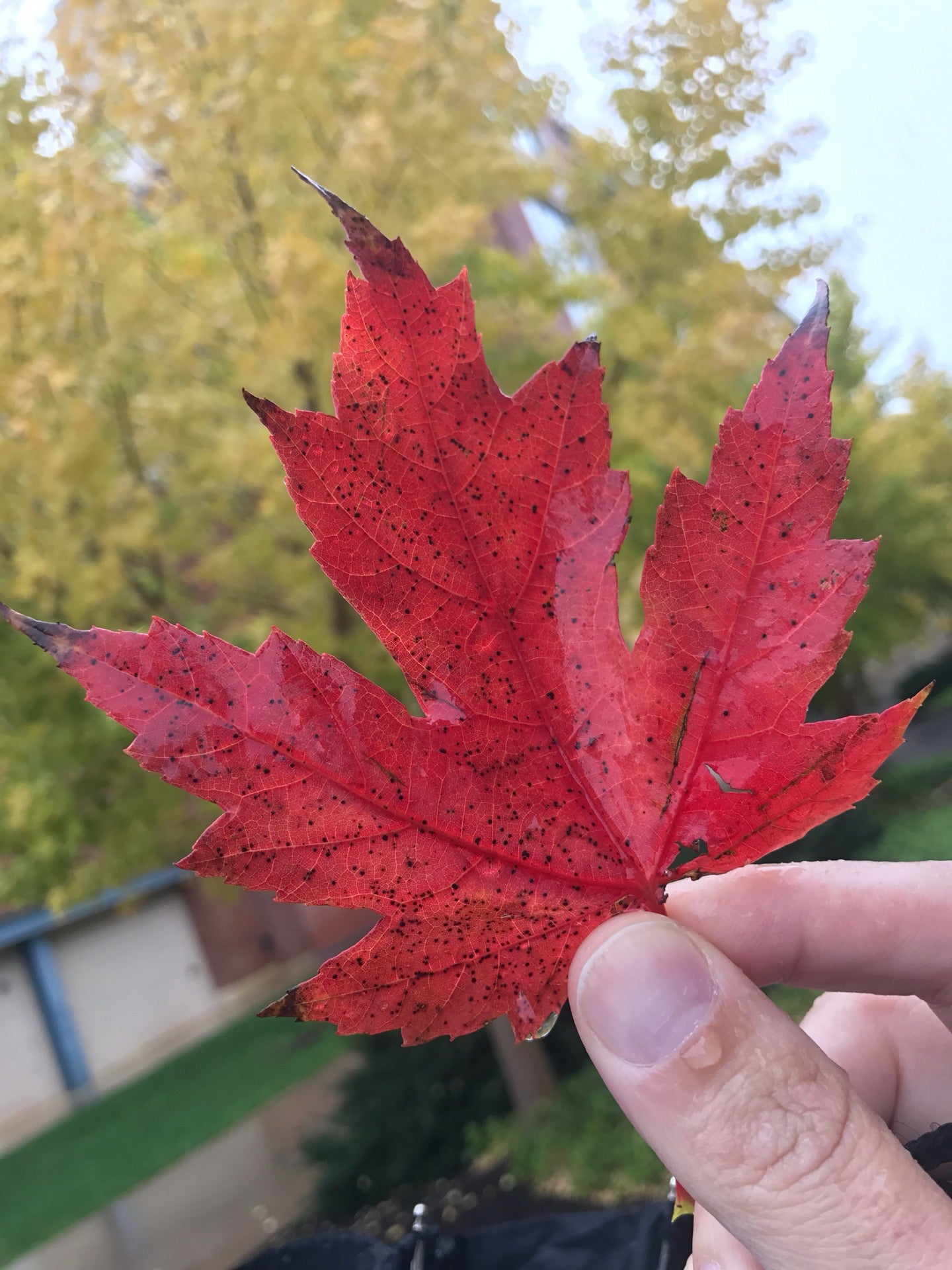East Parking Deck, Bigler Rd, State College, PA MapQuest