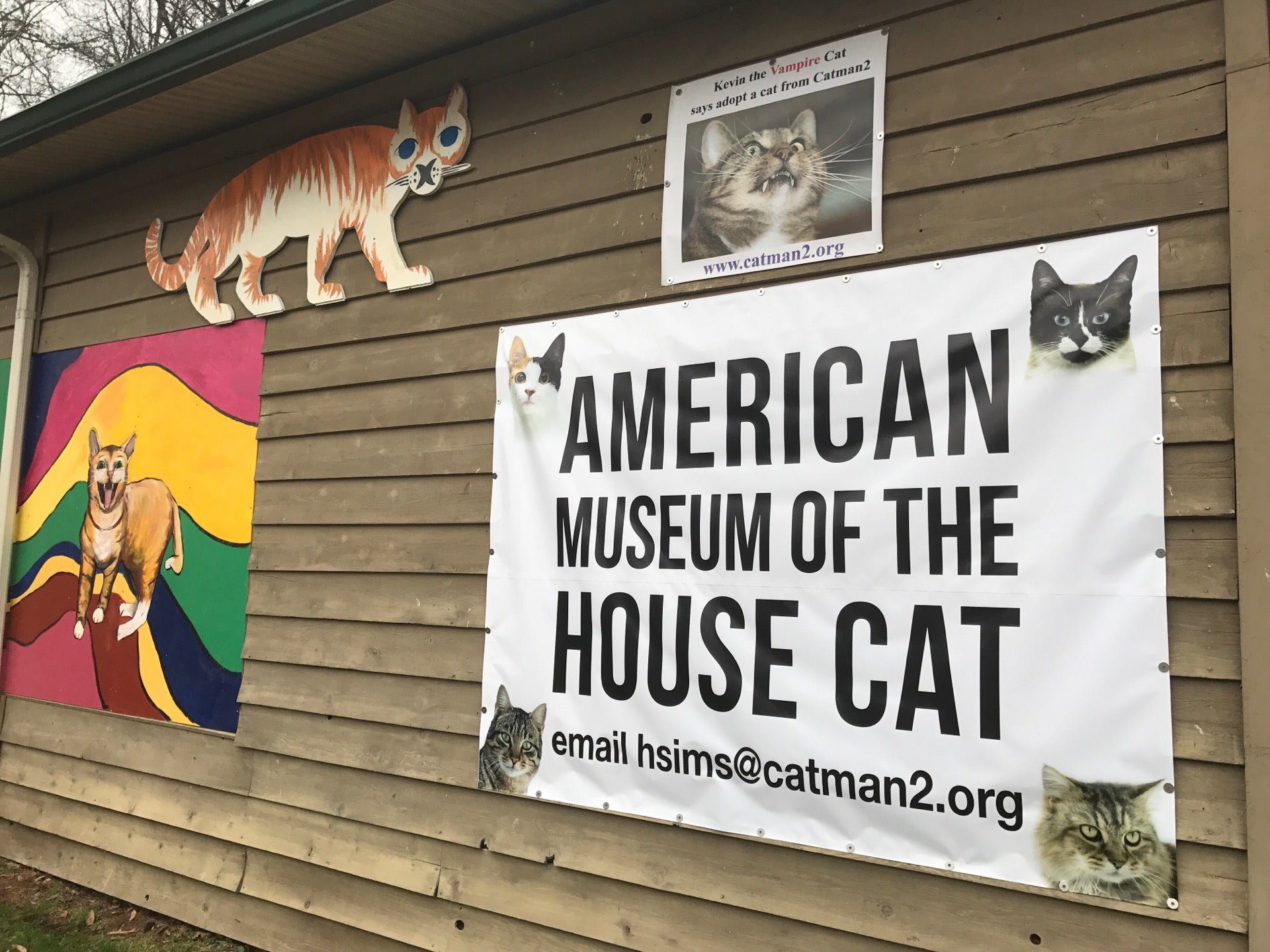 The American Museum of the House Cat, 4704 Us Highway 441 S, Sylva, NC