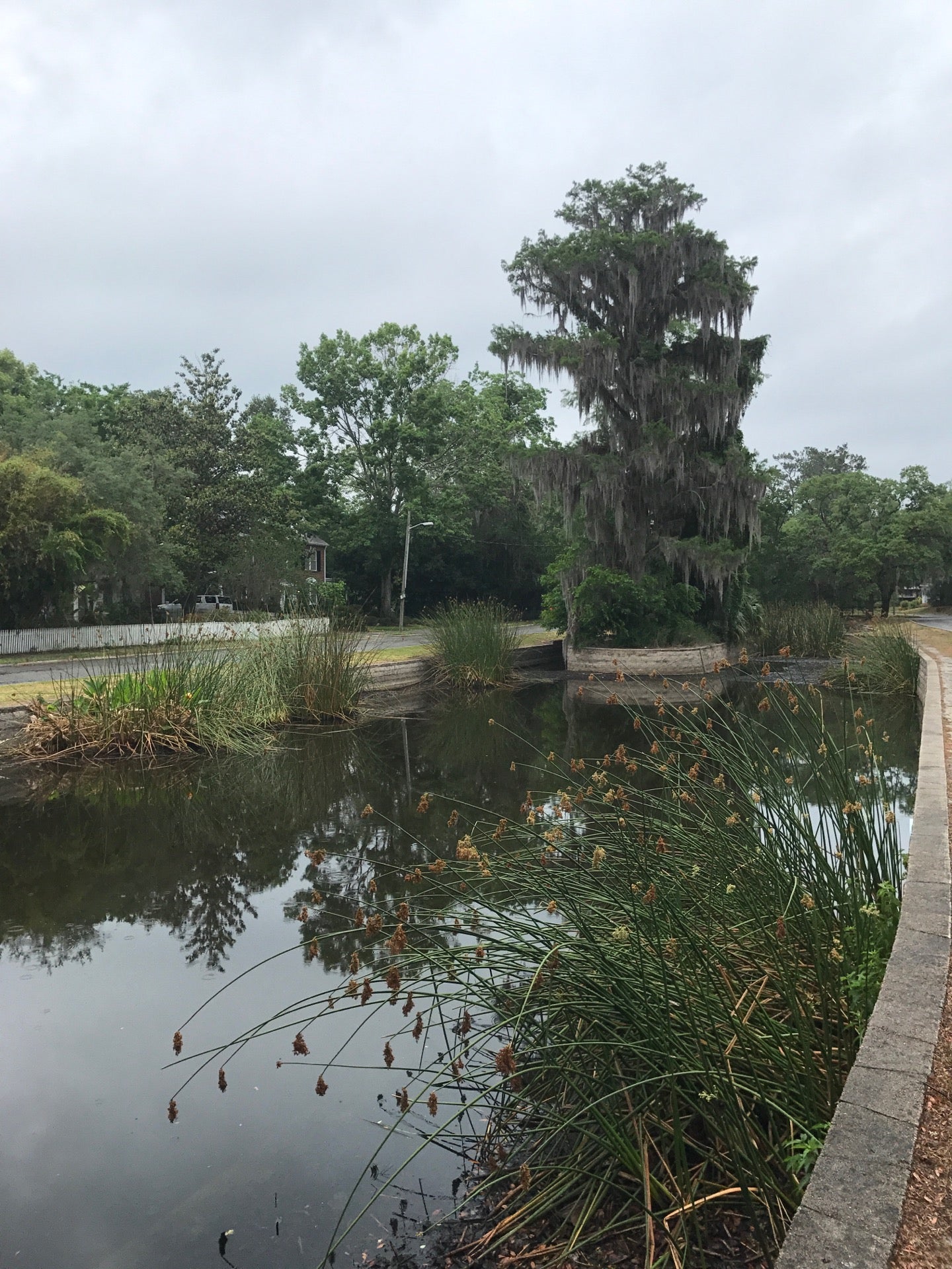 The Duck Pond, NE Blvd, Gainesville, FL MapQuest