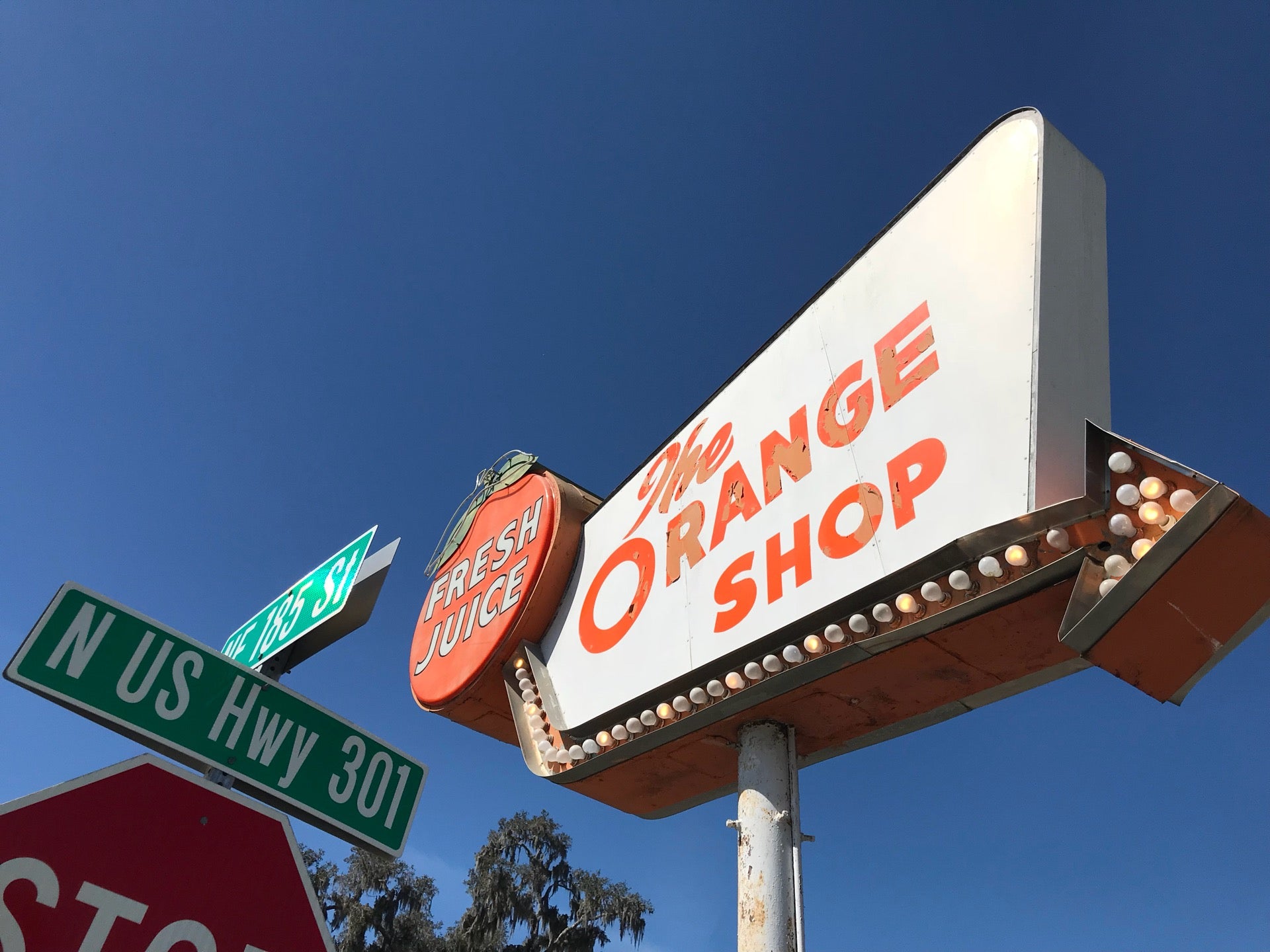 Citra Navel Oranges from The Orange Shop in Citra, Florida