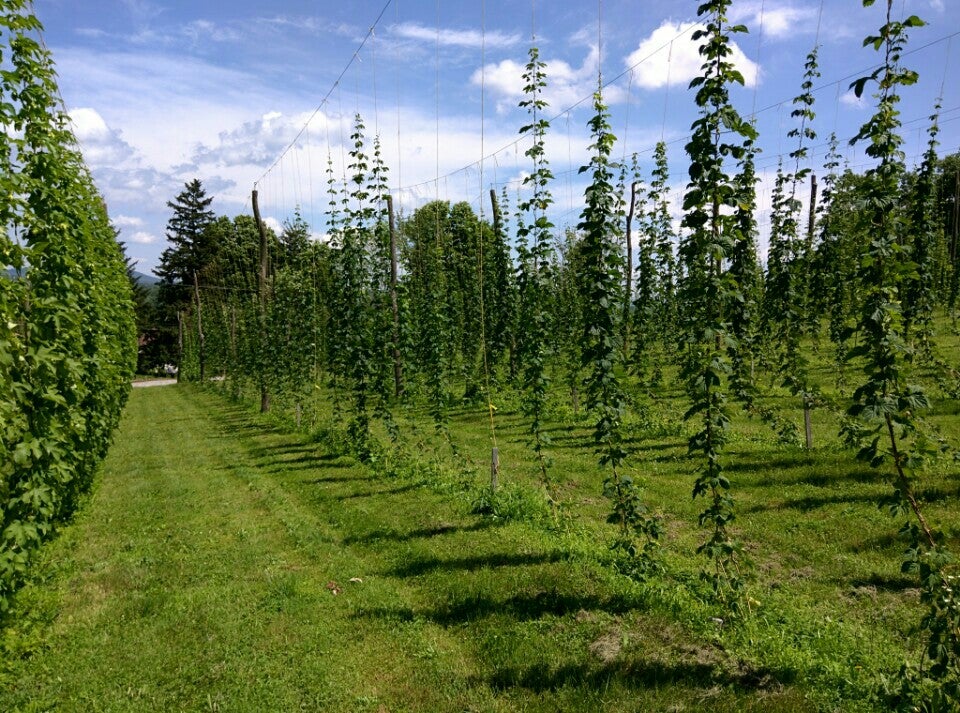 Westtown, NY Map & Directions MapQuest