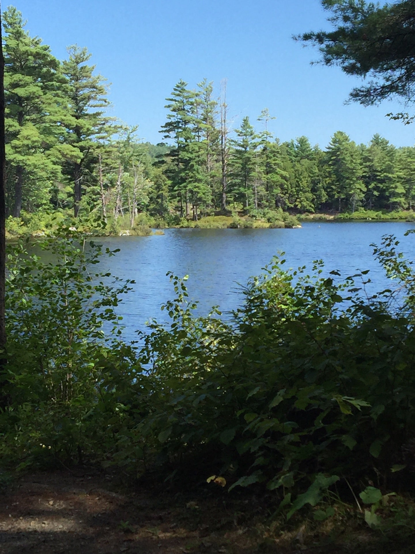 Tully Lake Campground, 25 Doane Hill Road, Royalston, MA, Hotels