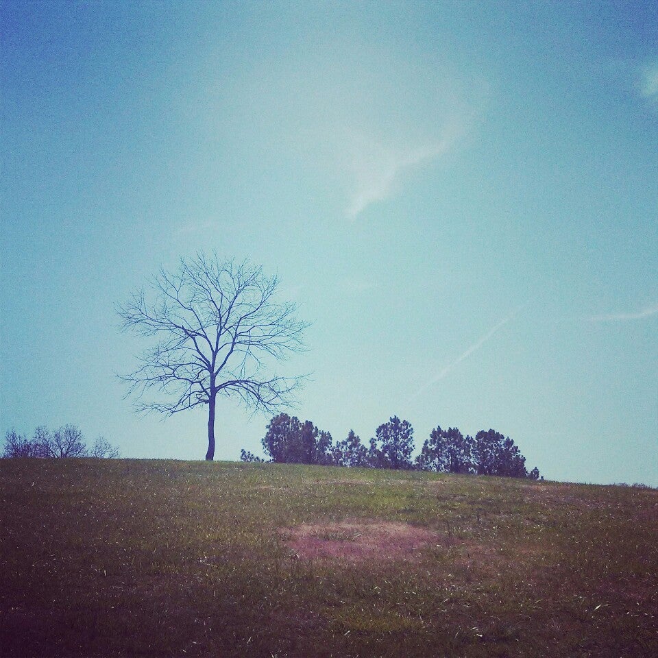 Lost Mountain Park, 4845 Dallas Hwy, Powder Springs, GA, Parks MapQuest