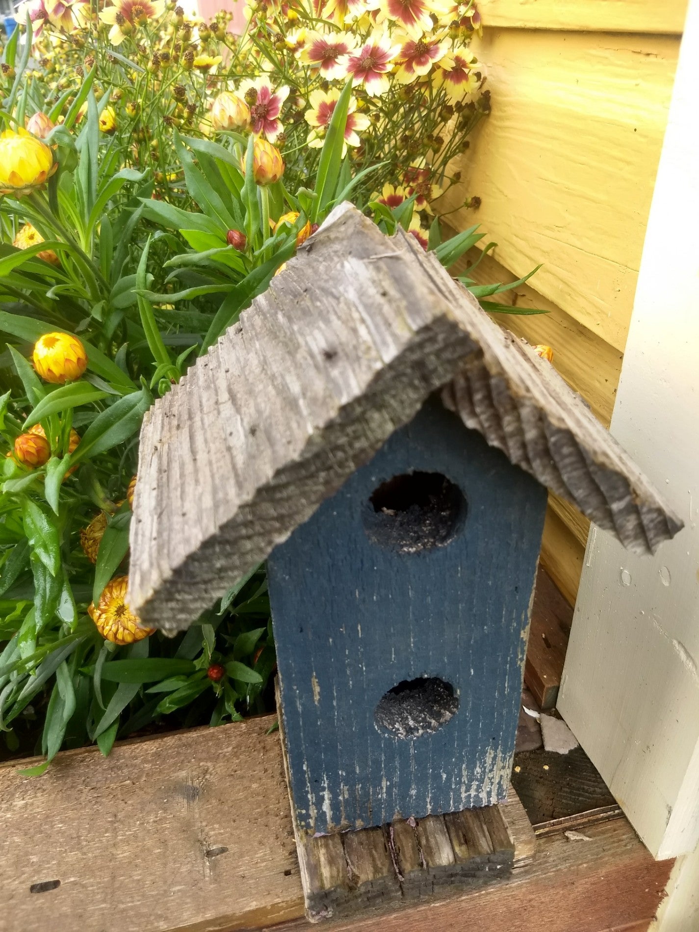 Christian Armory Bookstore & Pilot House Coffee Shop, 408 W Main St