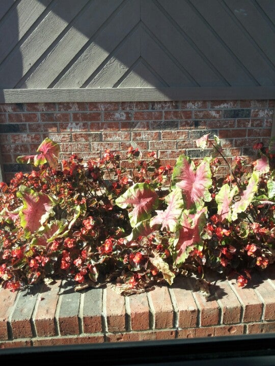 Nocona, TX Map & Directions MapQuest