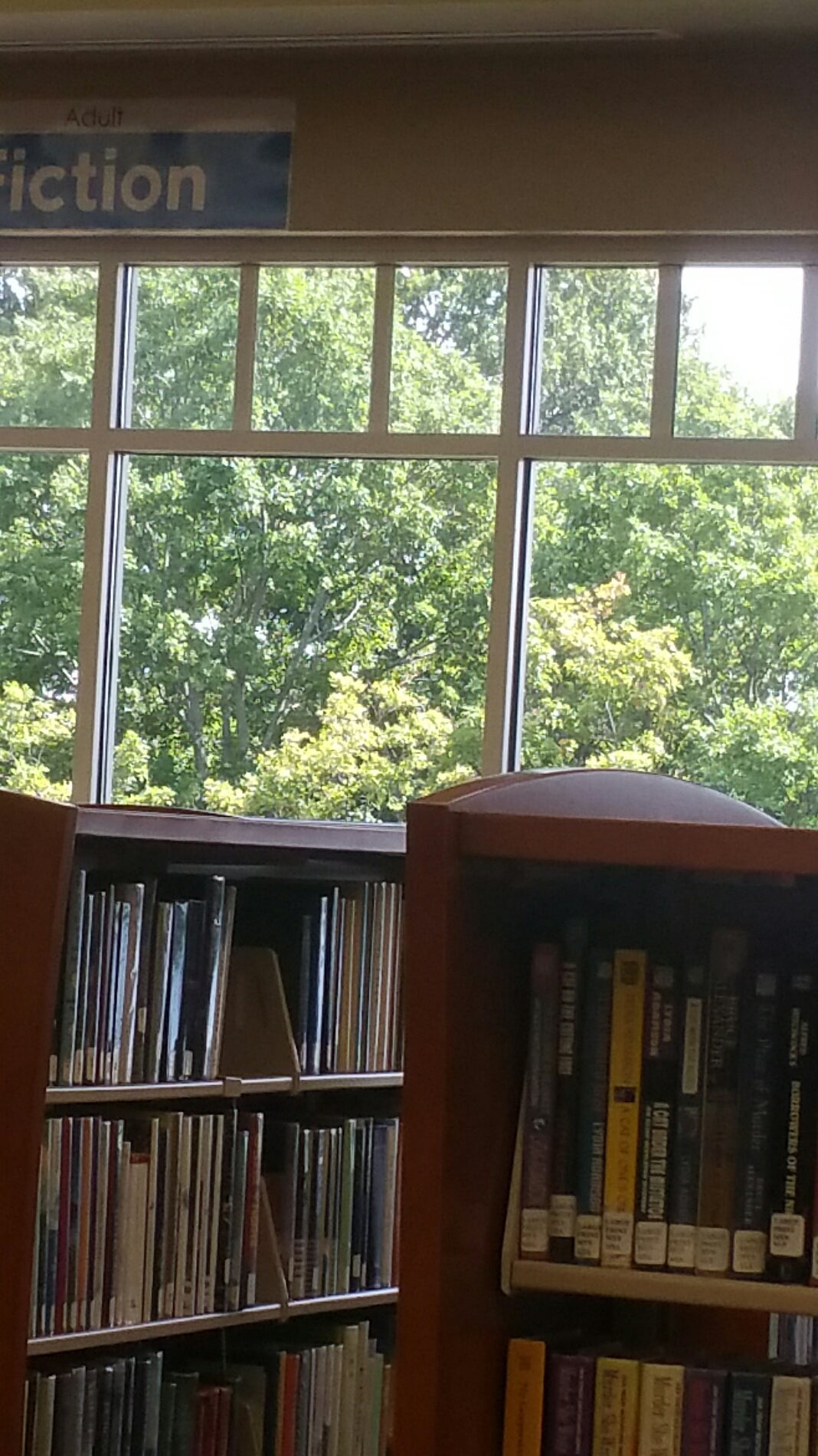 WW Studio Kendallville Public Library, 221 S Park Ave, Kendallville