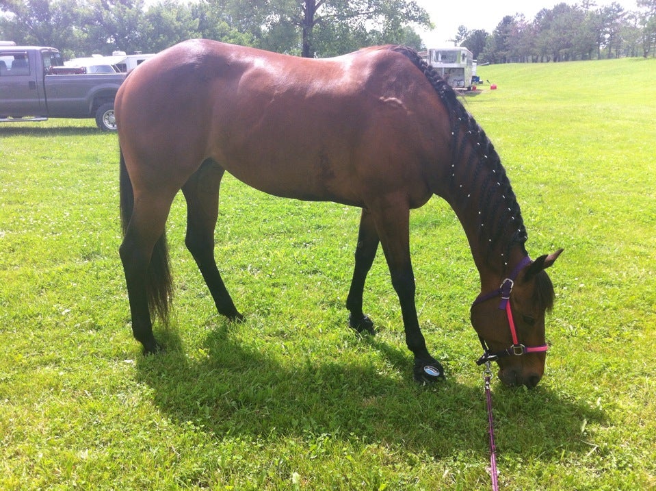 trafalgar-in-map-directions-mapquest