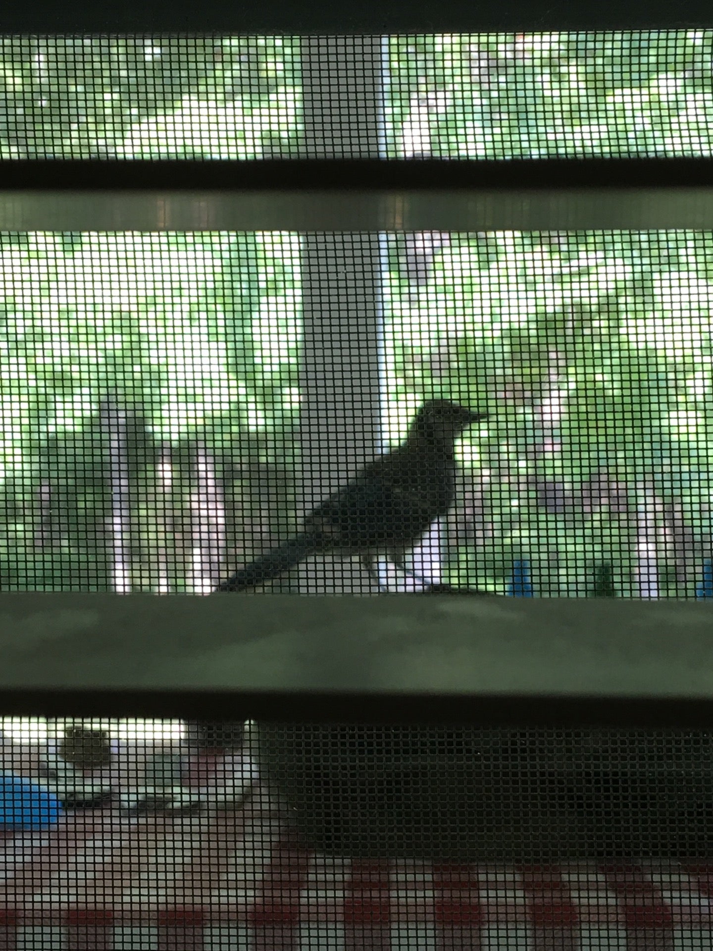 Joint Base Charleston Weapons Station Library, 2316 Red Bank Rd, Goose