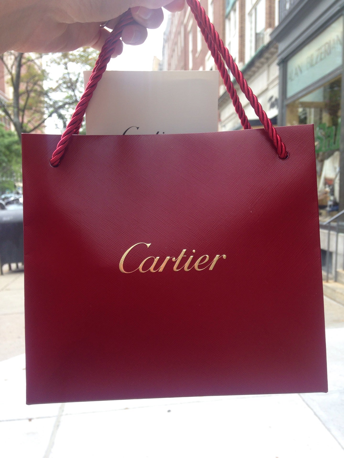 Cartier, Other, Cartier Shopping Bag