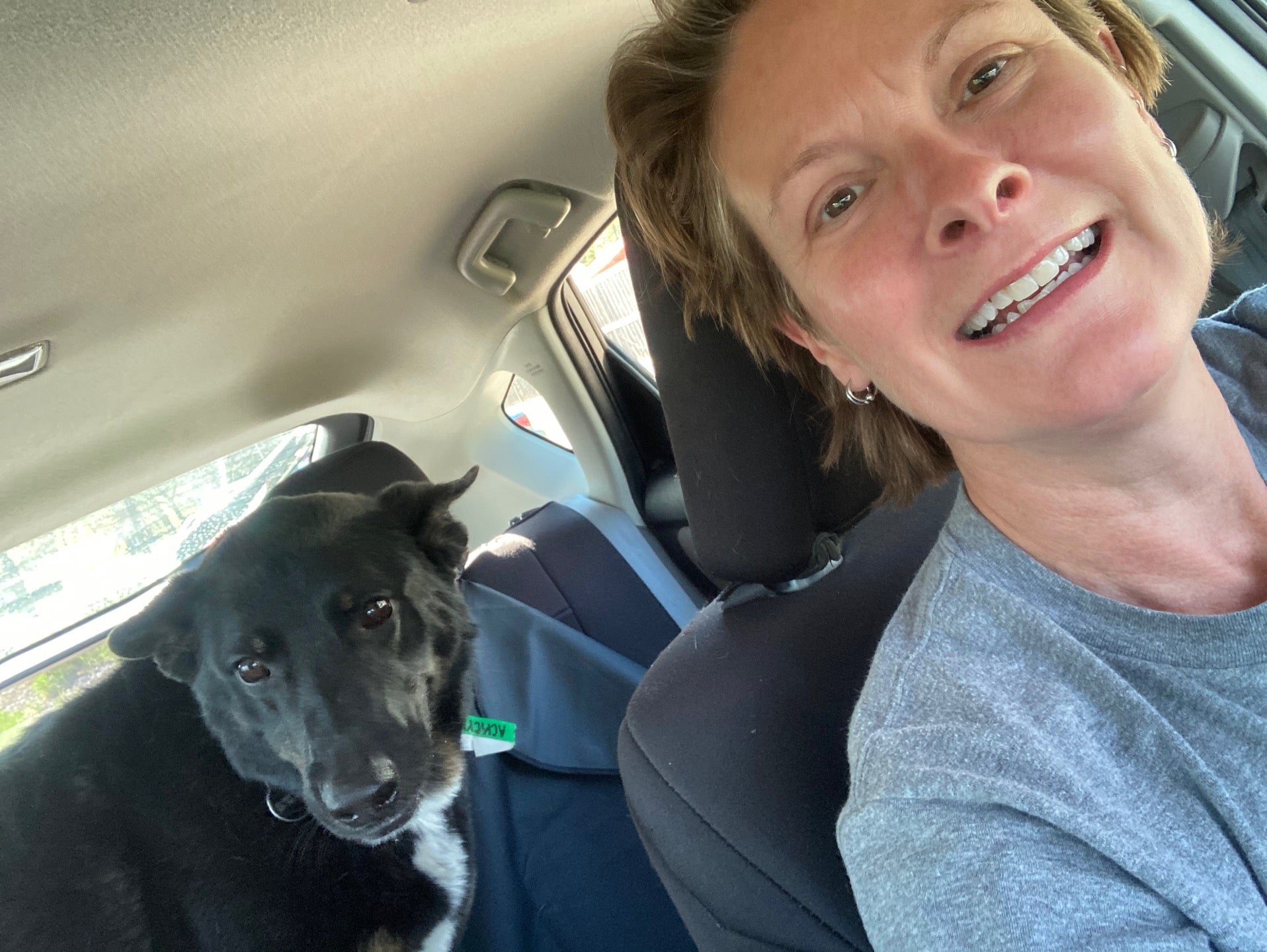 Adogo Dog Hotel, 7384 Kirkwood Ct N, Maple Grove, MN, Pet Services