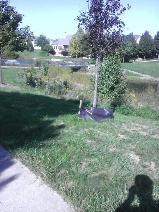 Sadorus, IL Map & Directions MapQuest