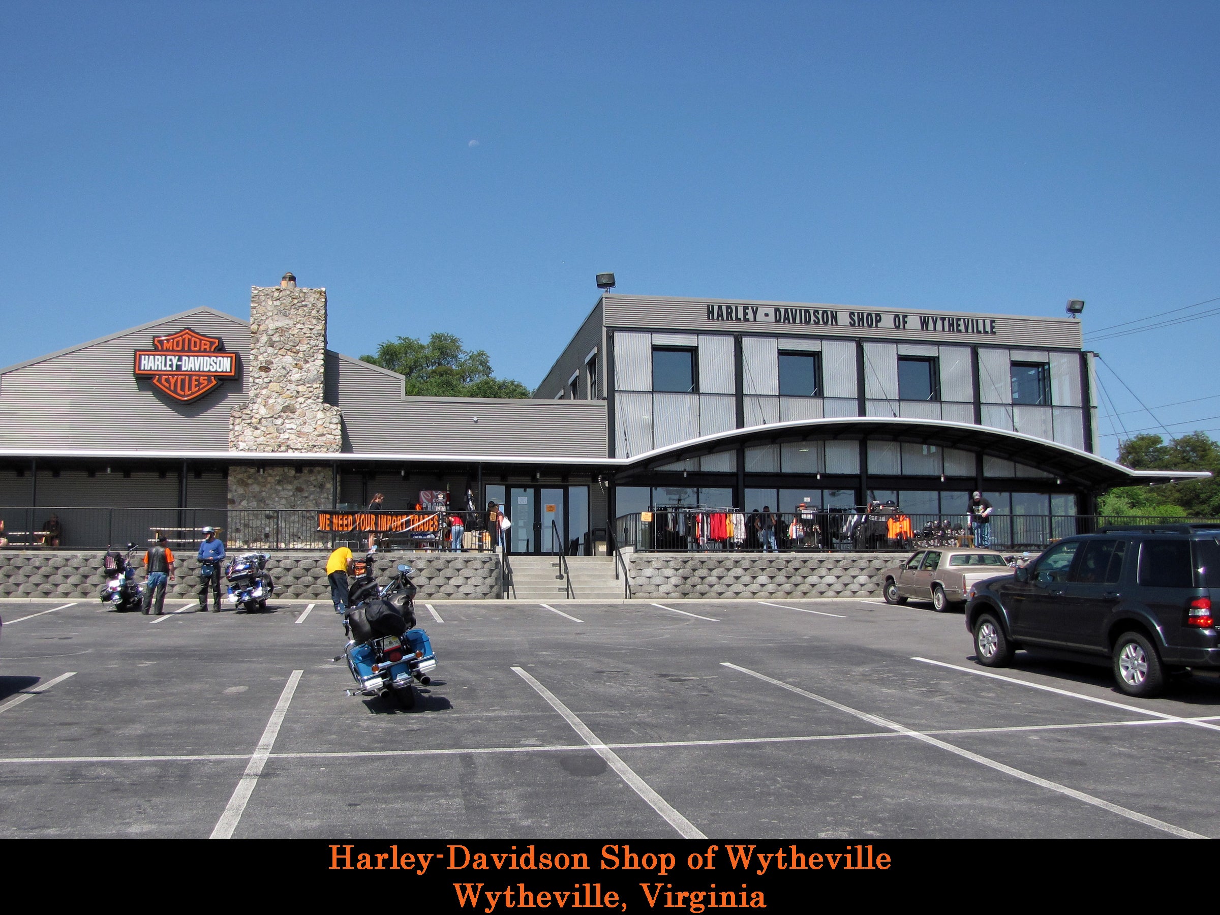 Black Bear Harley Davidson