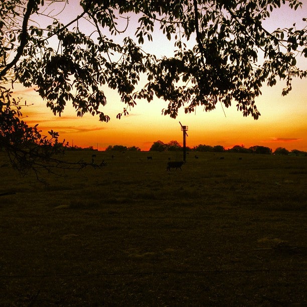 Weirsdale, FL Map & Directions MapQuest