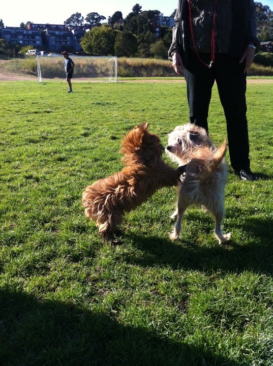MLK soccer field, Coloma street, Sausalito, CA MapQuest