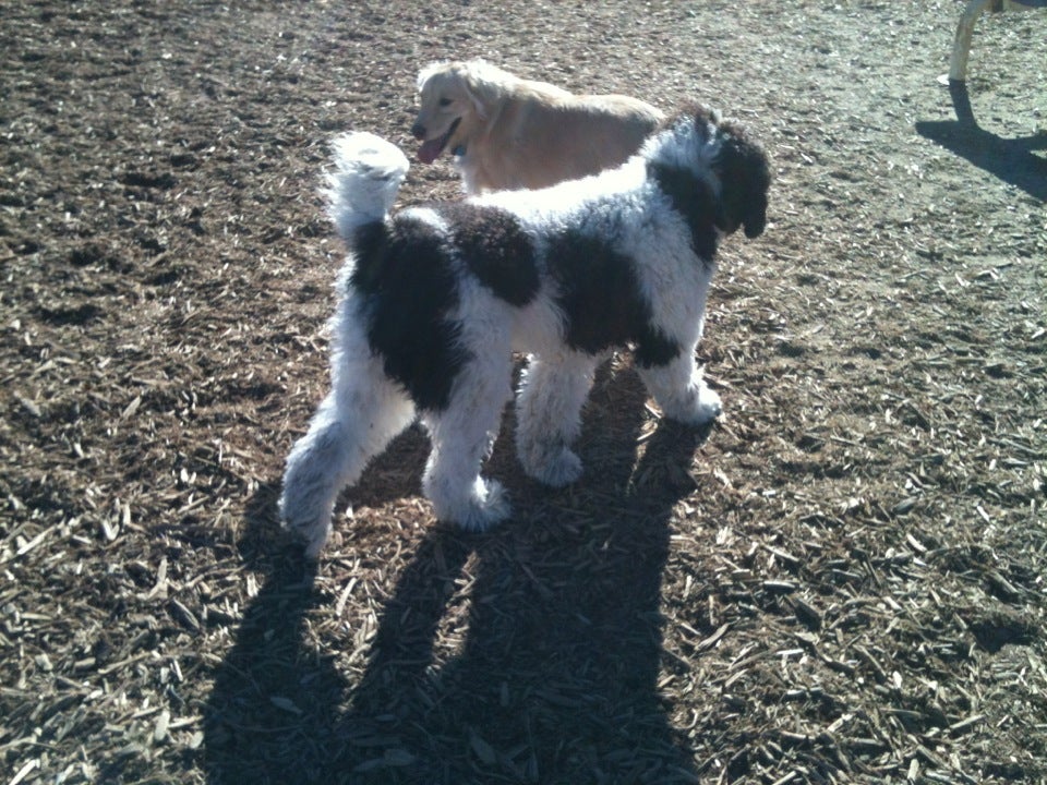 Fossil Creek Dog Park, Fort Collins, CO, Parks MapQuest
