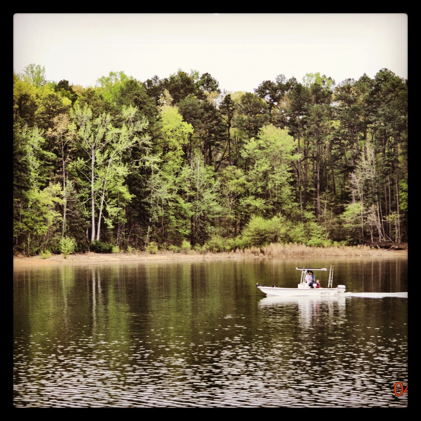 Twelve Mile Recreation Area, College Ave, Clemson, SC MapQuest