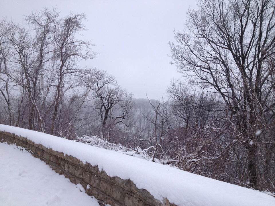 Summit Inn Treehouse, Wharton Furnace Rd, Wharton Twp, PA MapQuest