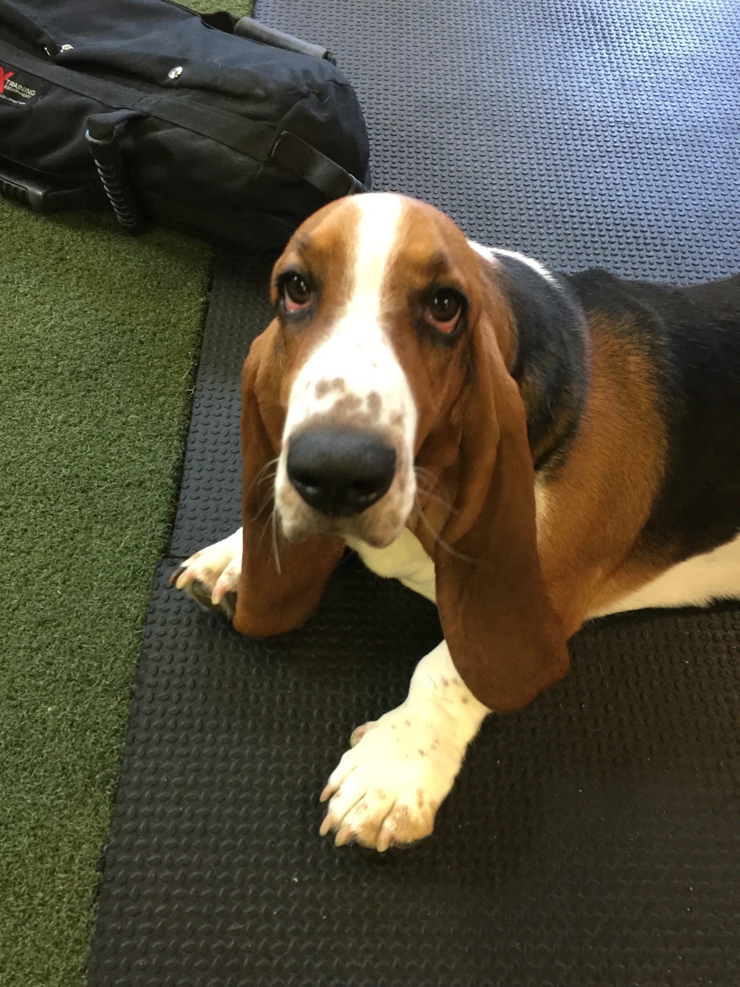 Golden Phoenix CrossFit, 269 Sheffield St, Ste 10, Mountainside, NJ