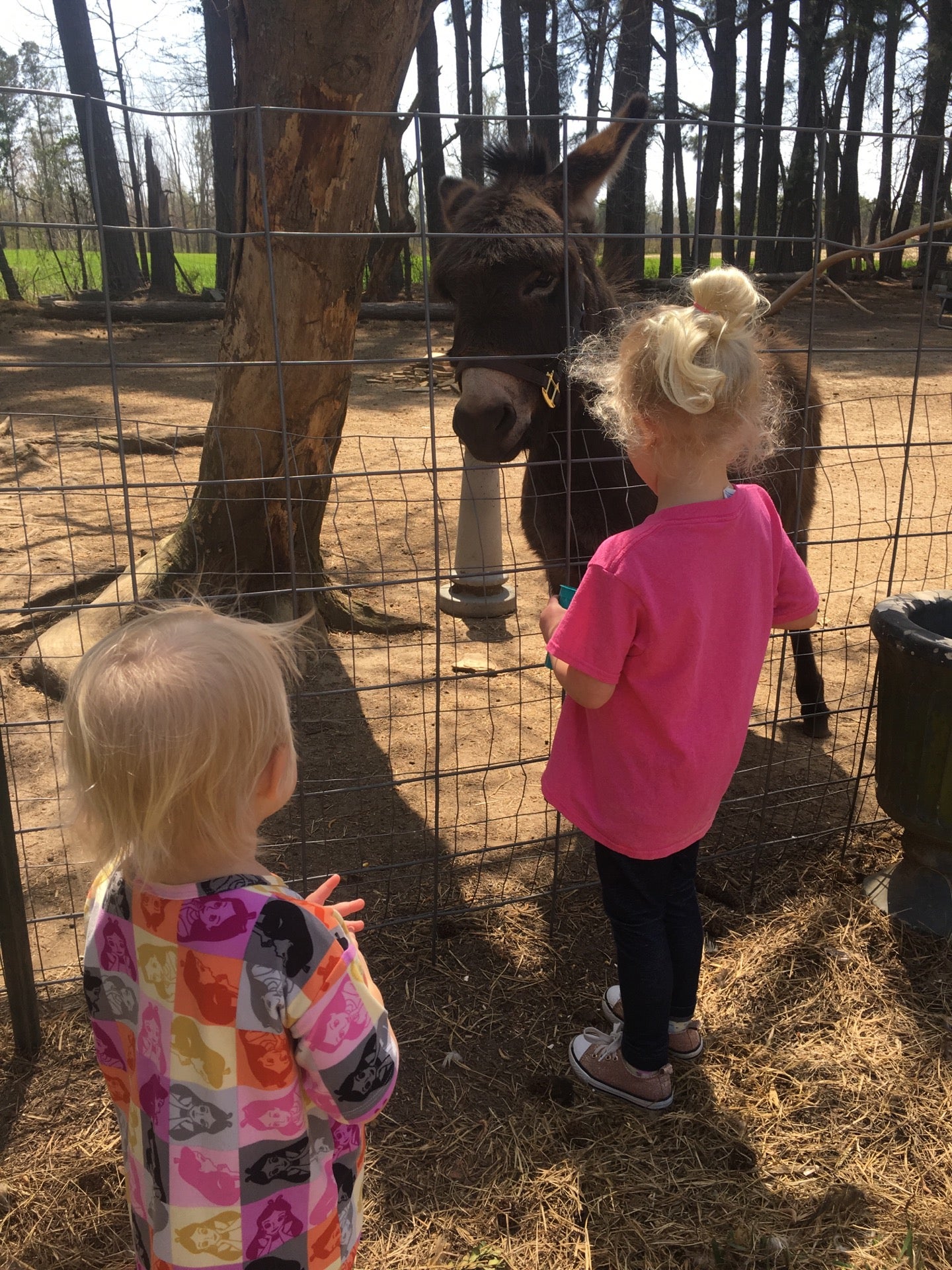 Best Garden Center in Black Creek, North Carolina MapQuest