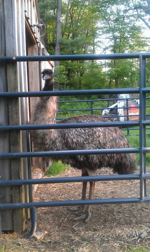 Leeper, PA Map & Directions MapQuest