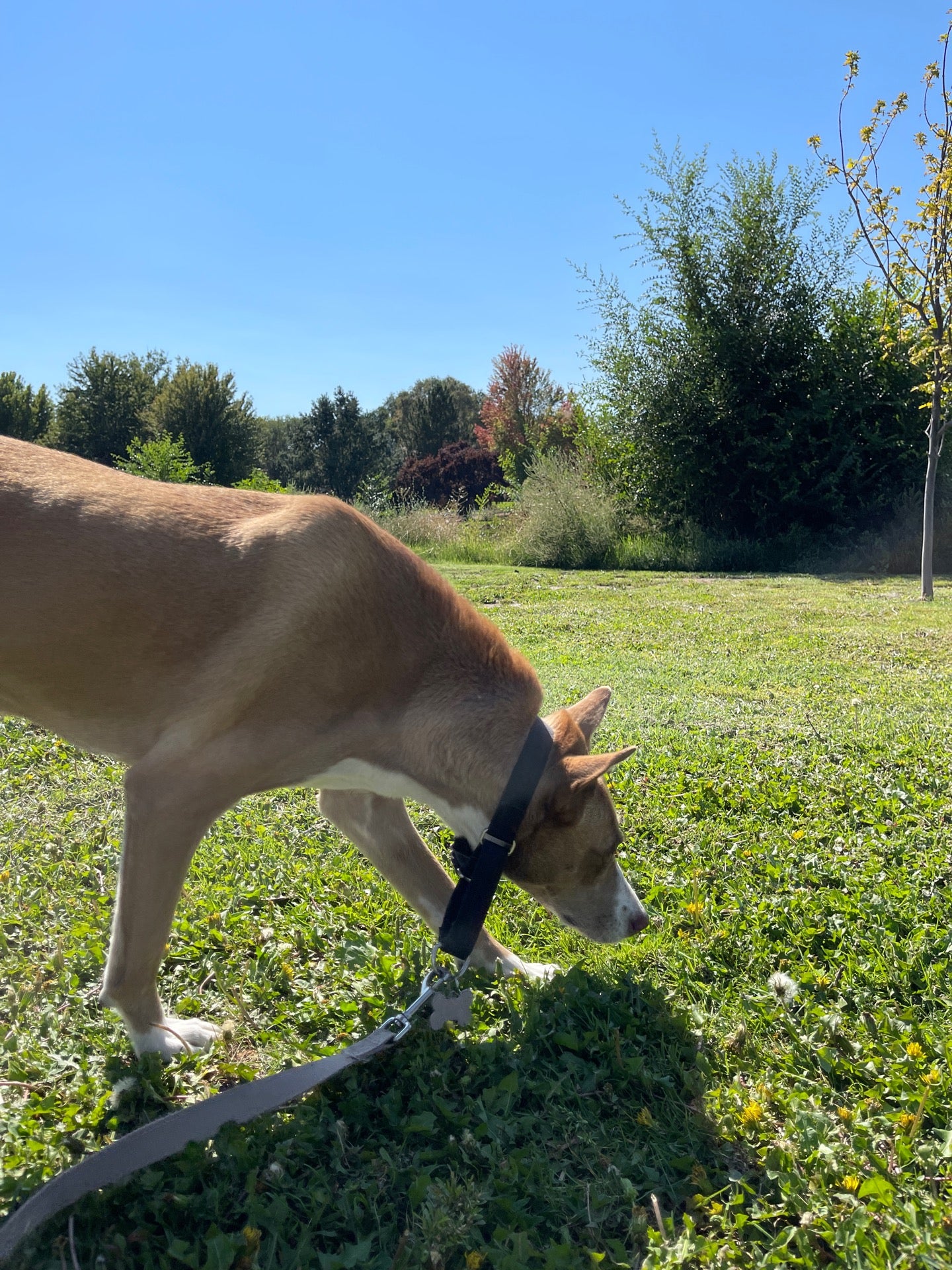 Hermiston, OR Map & Directions MapQuest