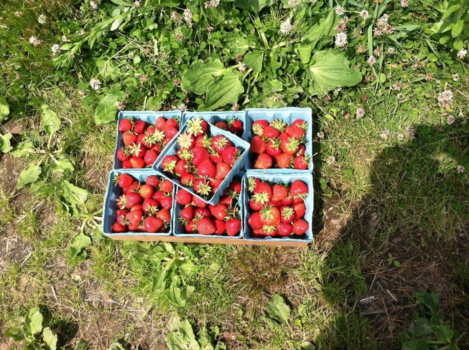 Bridgewater, MA Map & Directions MapQuest