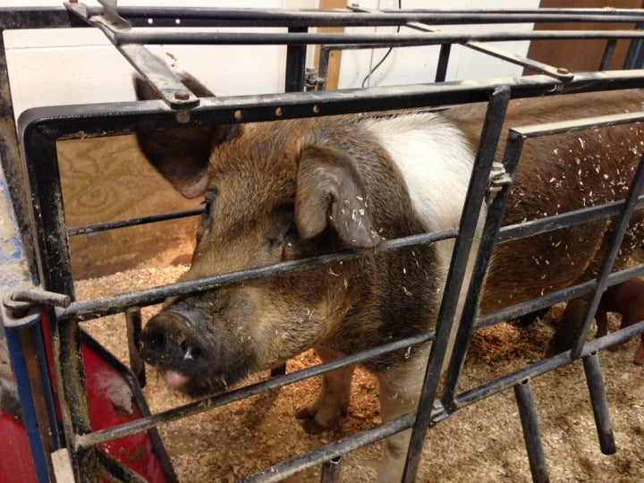 Campbellsport, WI Map & Directions MapQuest