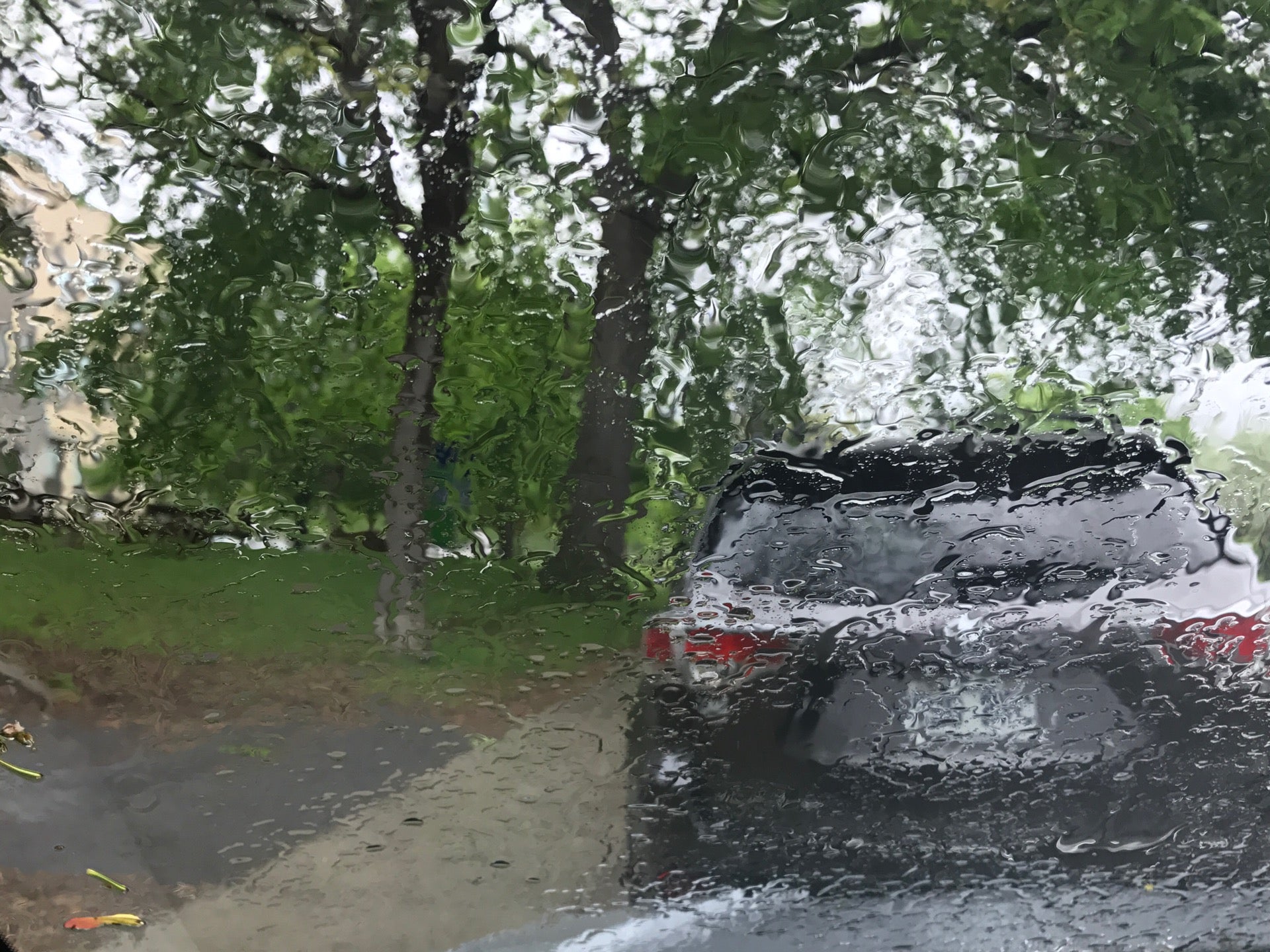 Ecole primaire NotreDamedeGrâce, 5435 NotreDameDeGrace Ave