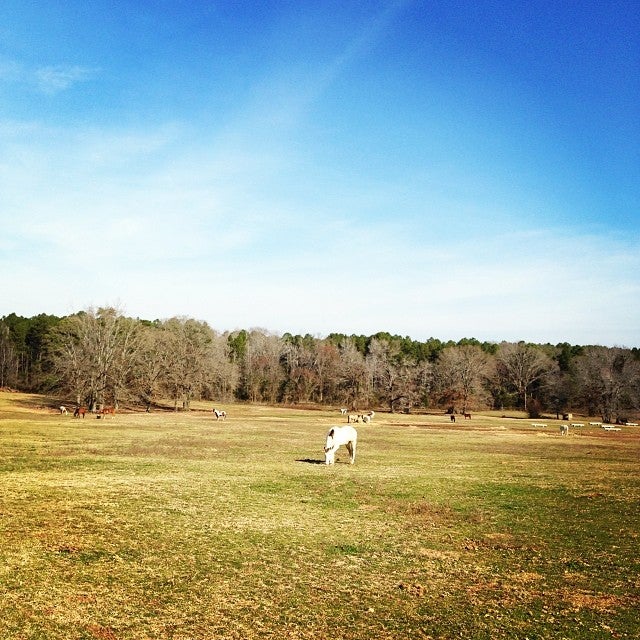 Winona, TX Map & Directions - MapQuest