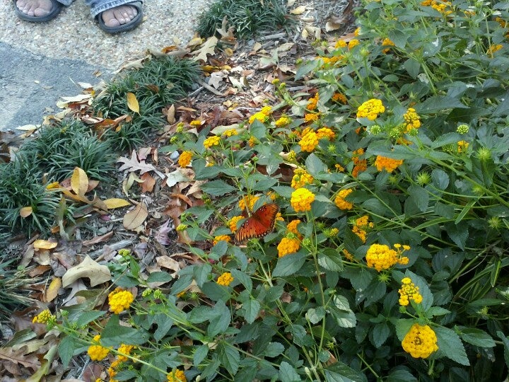 Royal, AR Map & Directions MapQuest