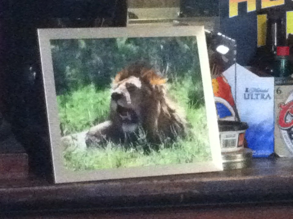 Avon, MN Map & Directions MapQuest