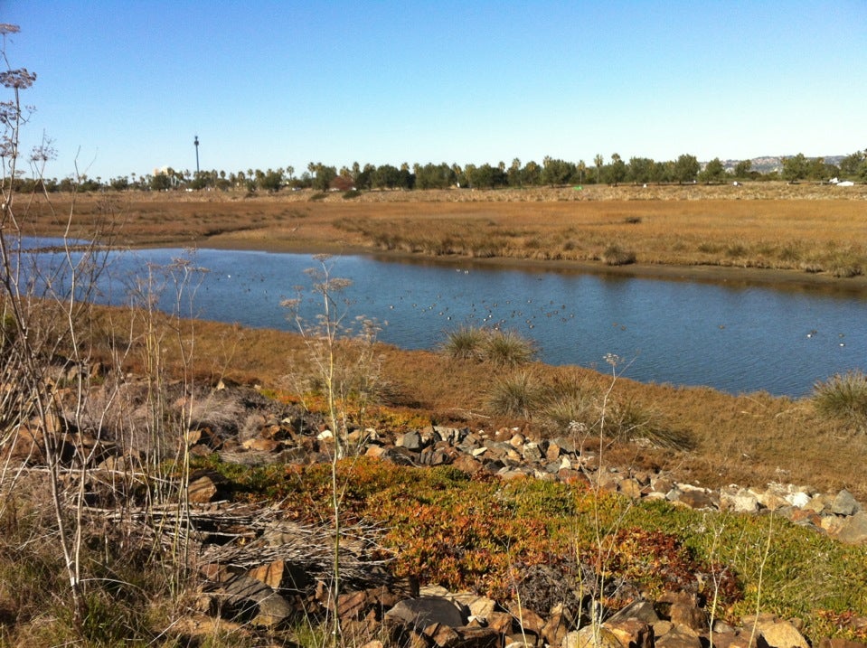Ocean Beach Bike Path, Pacific Hwy, San Diego, CA, Rental Agencies