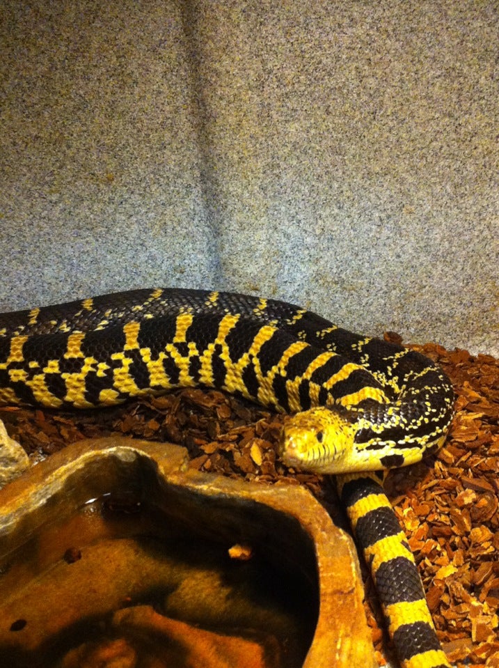 Cookson, OK Map & Directions MapQuest