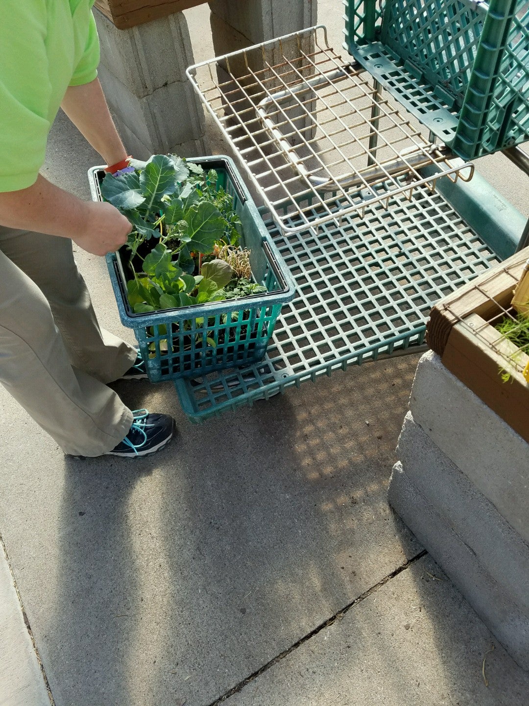 Earl May Garden Center Lawrence Ks