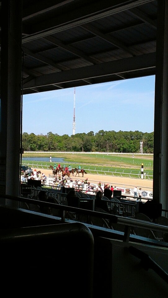 tampa-bay-downs-11225-race-track-rd-tampa-florida-race-tracks