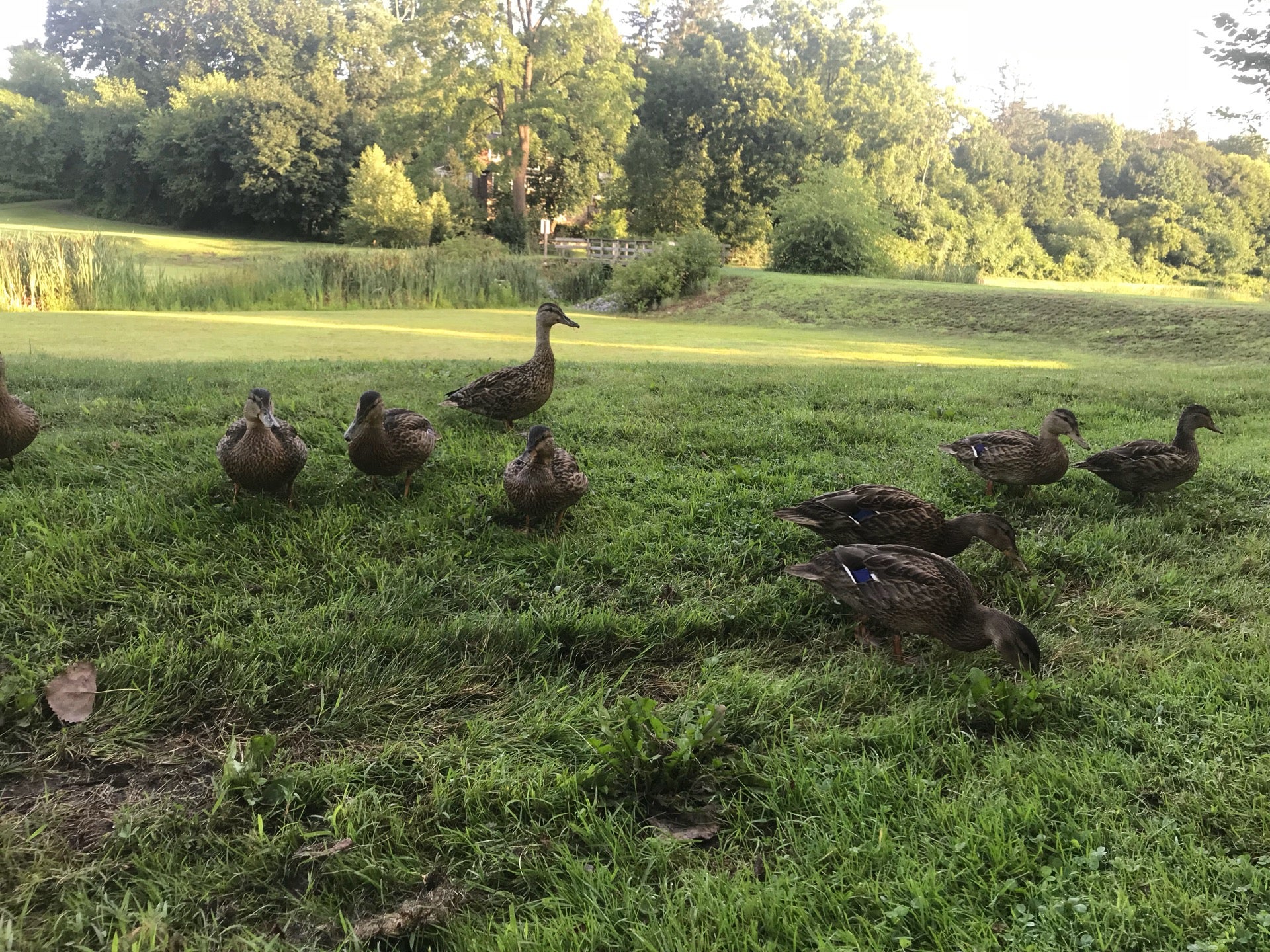 Hartsdale, NY Map & Directions MapQuest