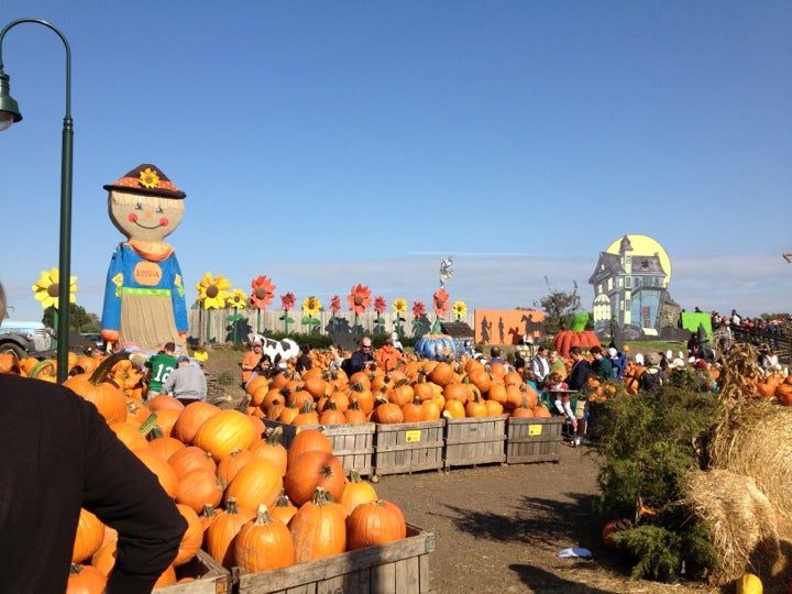 Brookhaven, PA Map & Directions MapQuest