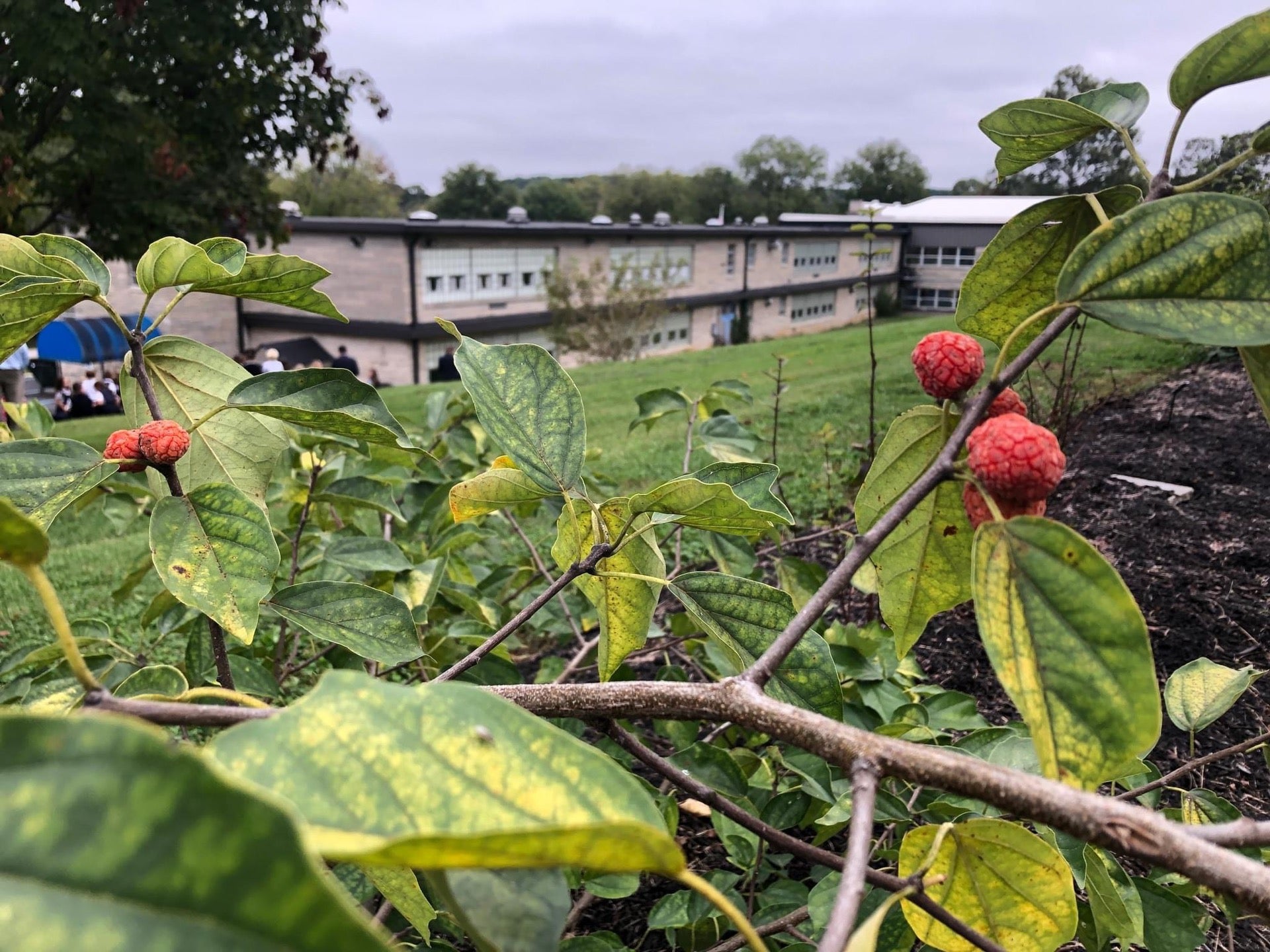 Ellettsville, IN Map & Directions MapQuest