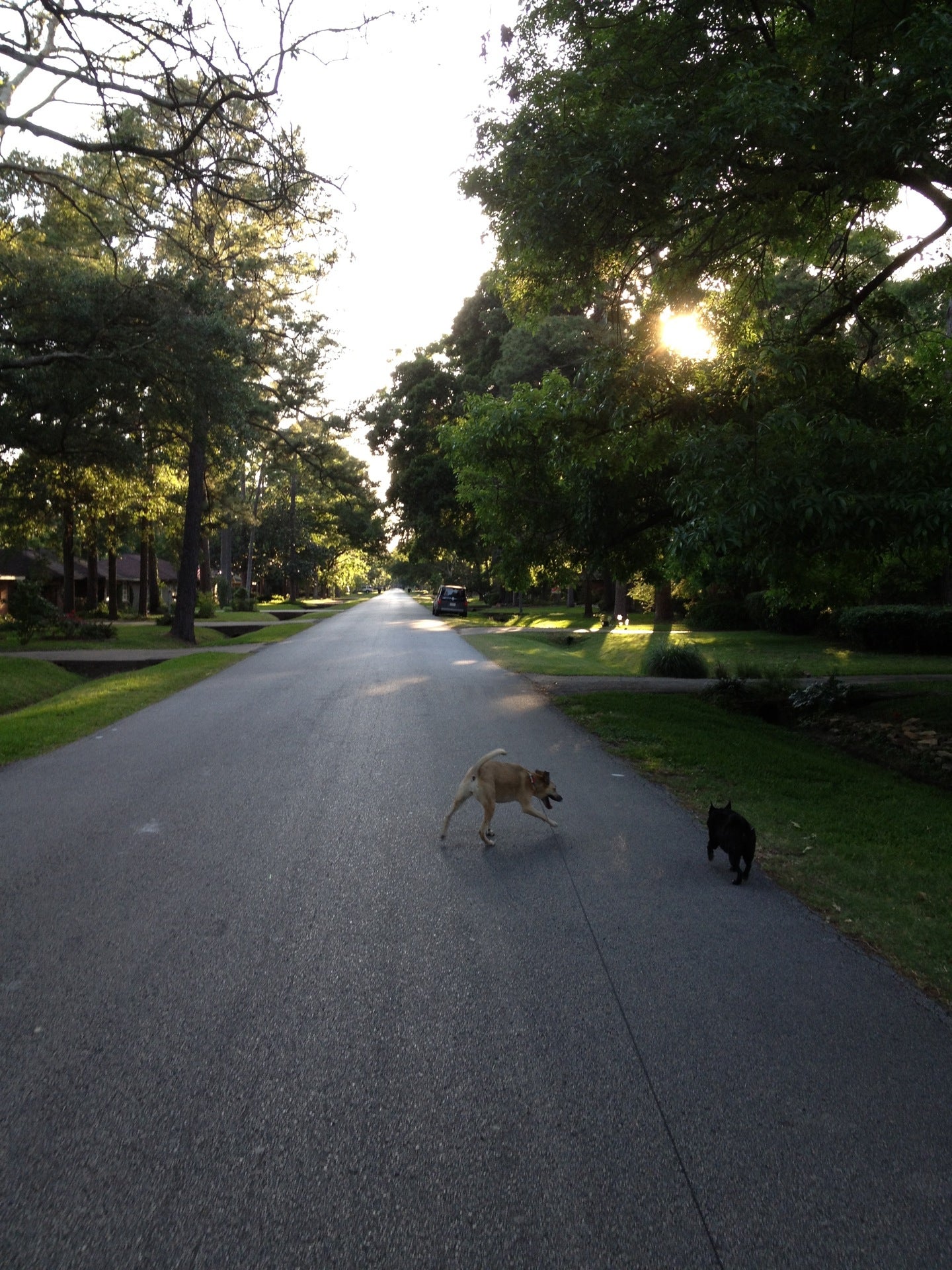 Candlelight Park, 1520 Candlelight Ln, Houston, TX, Parks MapQuest
