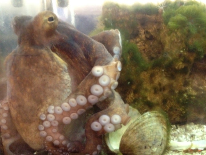 Lake Jackson, TX Map & Directions MapQuest