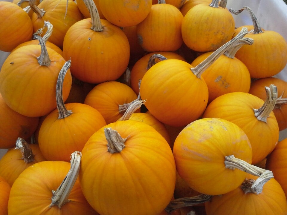 Glen Mills, PA Map & Directions MapQuest