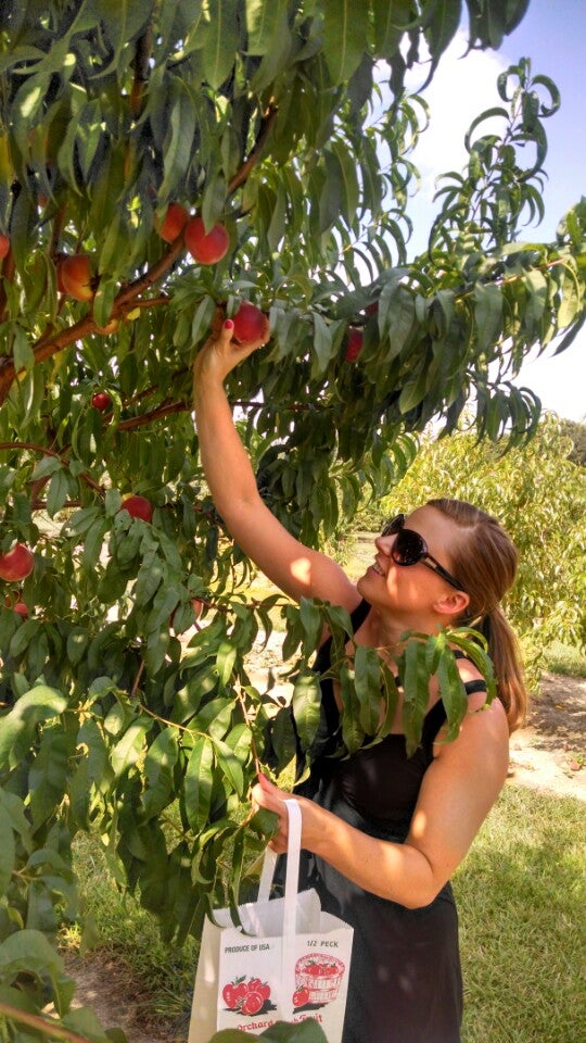 Hanover Peaches, 6012 Elder Ridge Ln, Mechanicsville, VA, Grocery