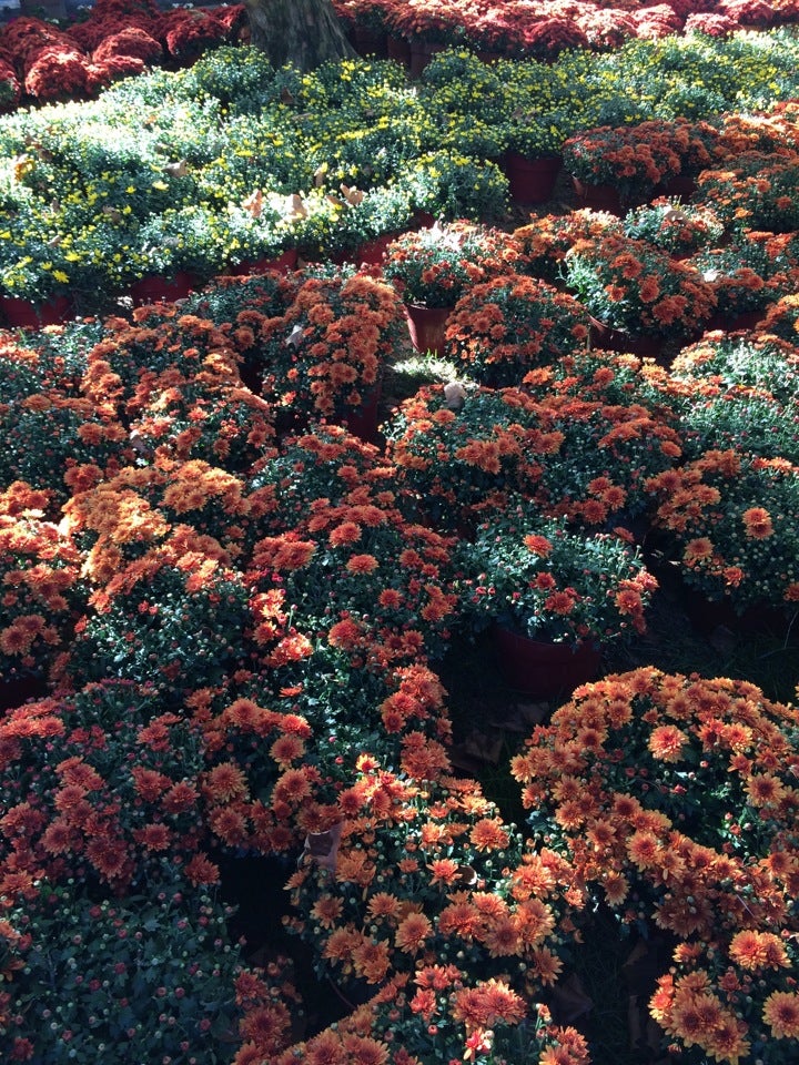 Samaha's Farm LLC, 704 Lloyd Rd, Matawan, NJ MapQuest