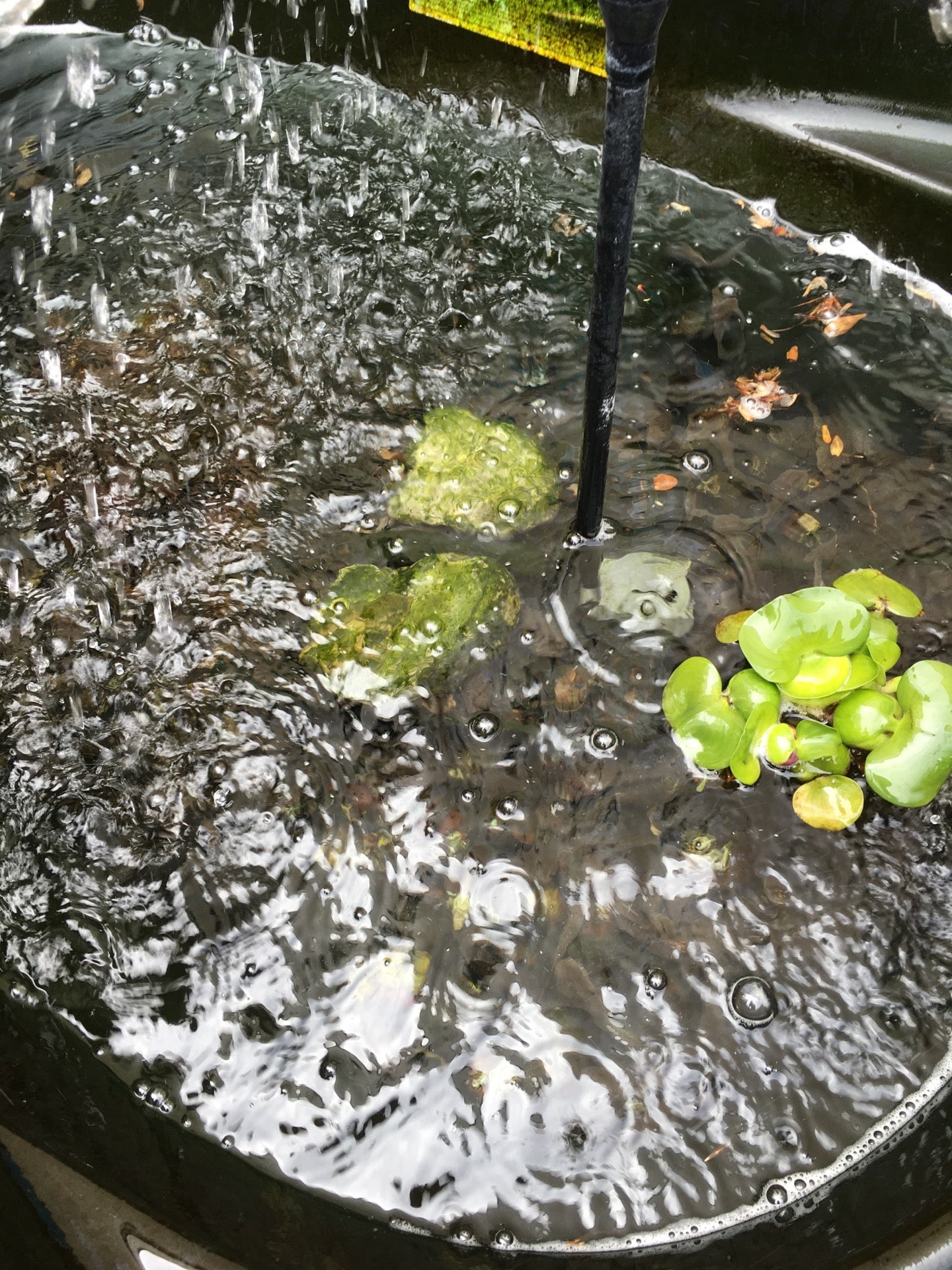 Best Garden Center in East Greenwich, New Jersey MapQuest