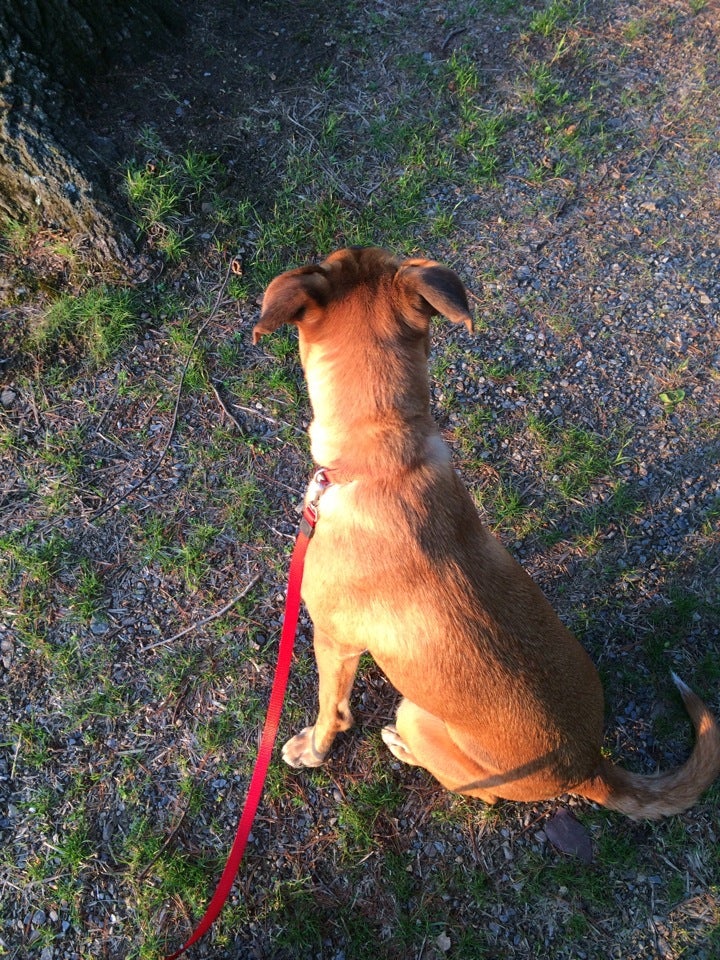 Elizabethville, PA Map & Directions MapQuest